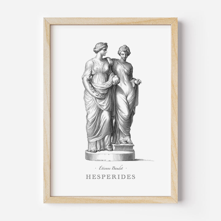 Hesperides engraving