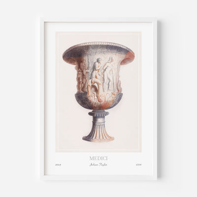 Medici Vase - Johan Teyler