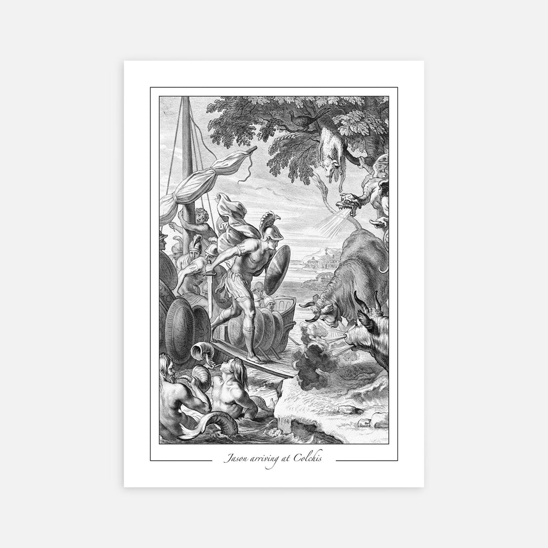 Jason at Colchis - Modern Mythos Art