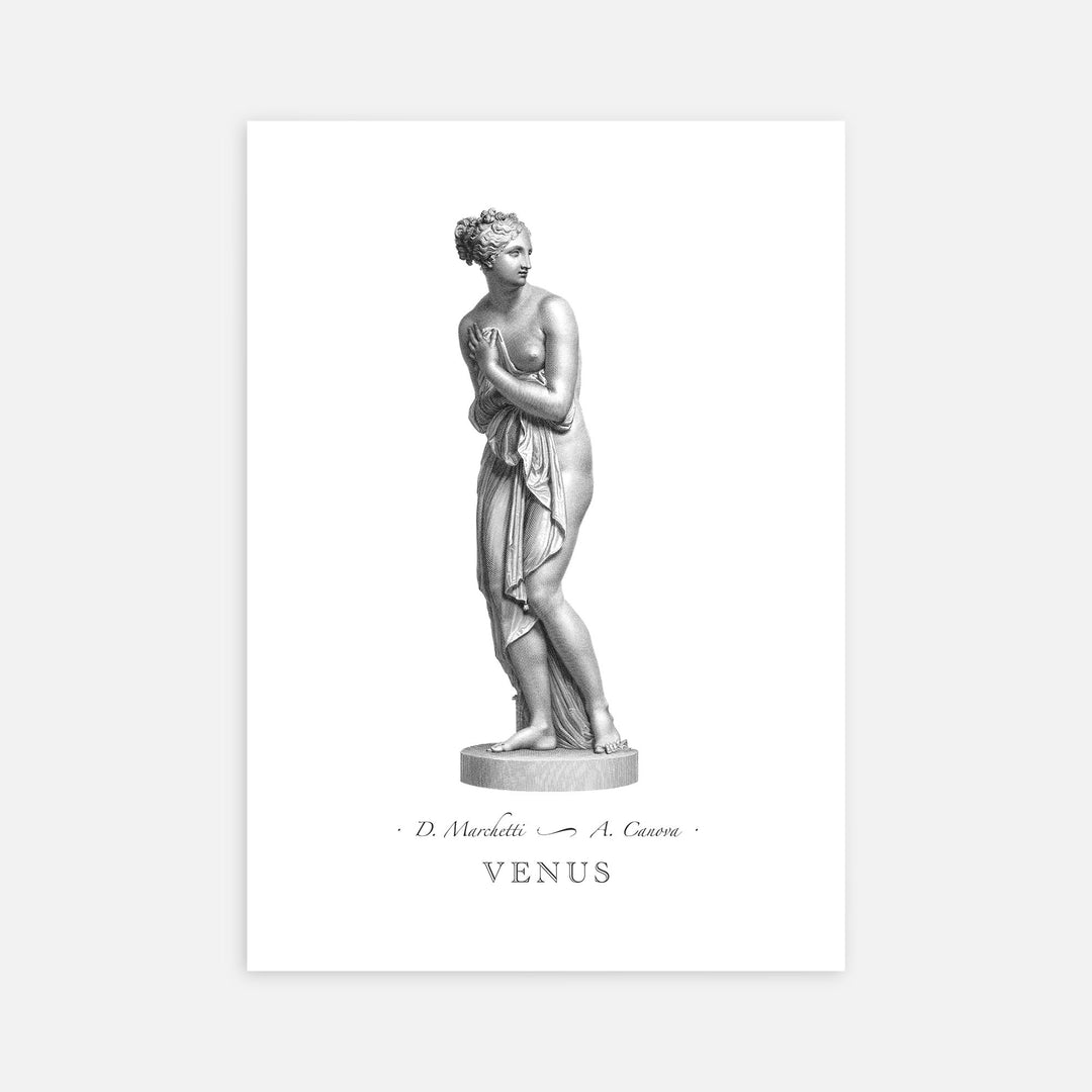 Venus - Marchetti - Modern Mythos Art