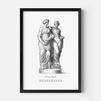 Hesperides engraving