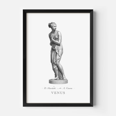 Venus engraving