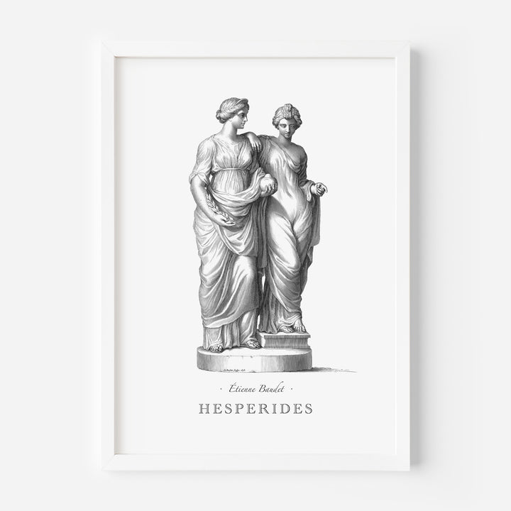 Hesperides engraving