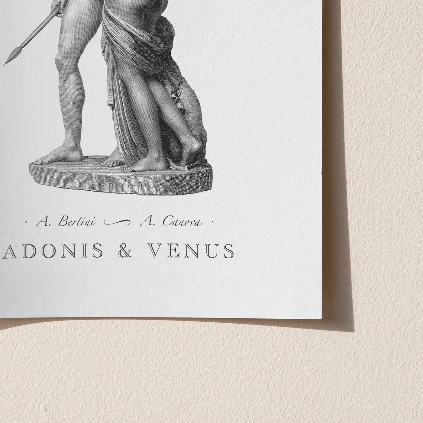 Adonis and Venus engraving