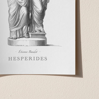 Hesperides engraving